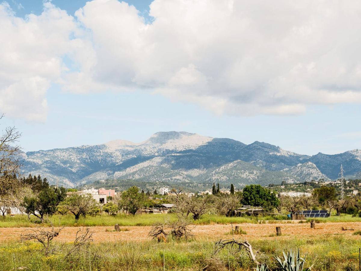 Ca Na Marlis. Nature&Relax Inca (Mallorca) Exterior foto